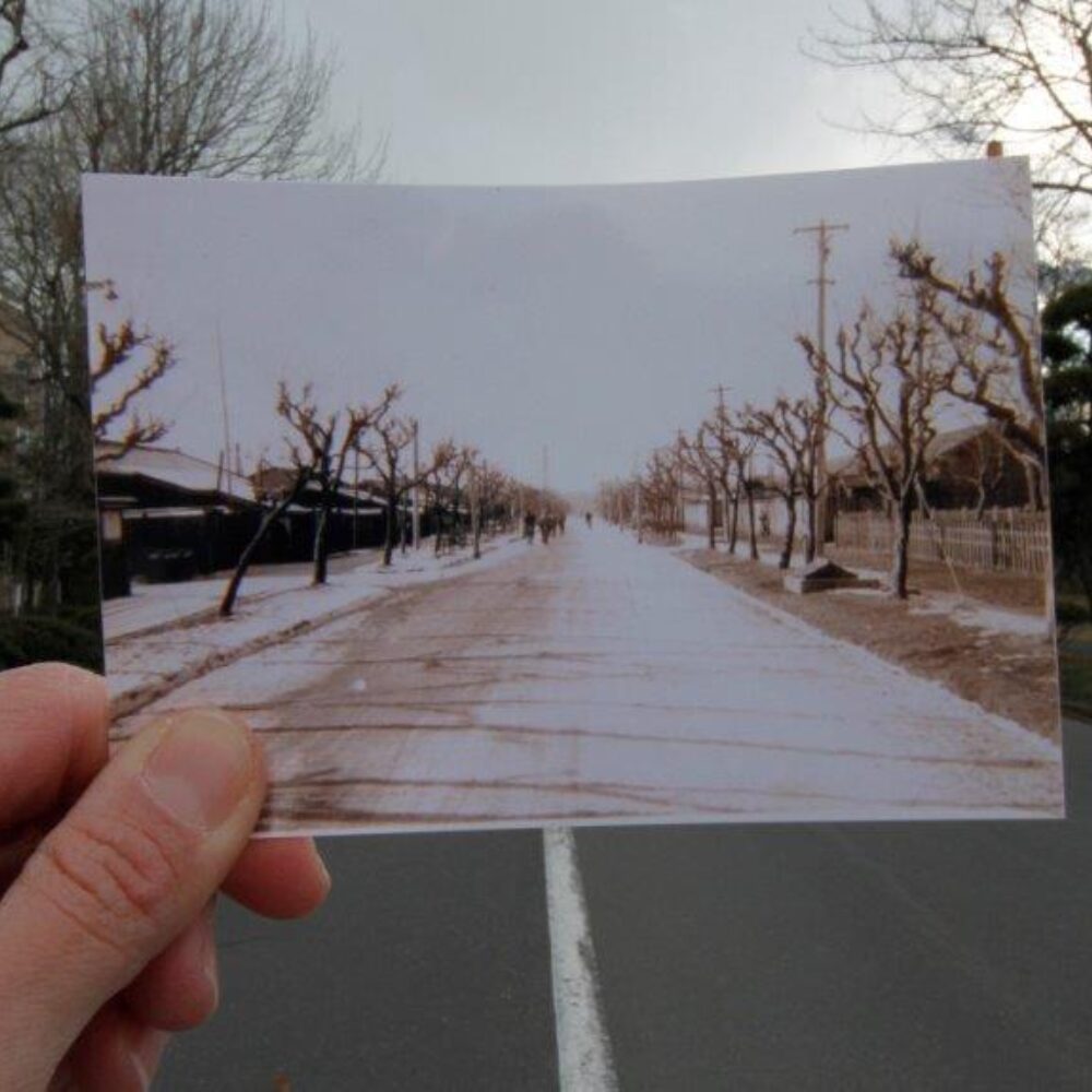 In the background, a road with landscape on both sides, which is hidden by a raised photo of the same road in the foreground